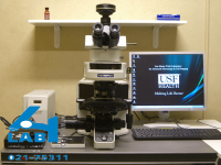 میکروسکوپ بیولوژی فلورسنت ساخت المپیوس ژاپن مدلBX53