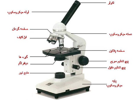 اجزا سازنده میکروسکوپ